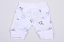 Pants, blue teddy bears